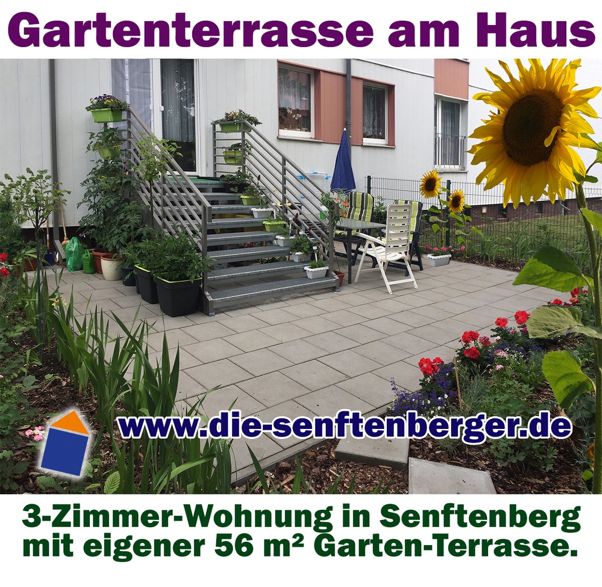 Die Senftenberger Disenftenberger Twitter