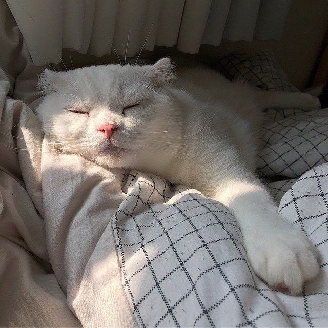 imyourwanderer's tweet photo. same energy ฉันก็น้วยจนเปื่อย https://t.co/uxYLyQIJ5X