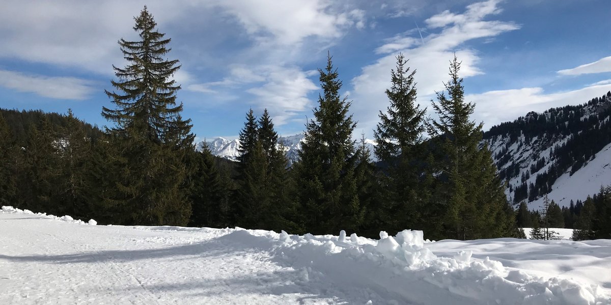 Livv_at's tweet photo. Hast Du in diesem Jahr schon einen #Schneemann gebaut? Falls nicht, plane mit https://t.co/rkadZfHhXc gleich Deinen Trip in den Schnee. Mehr Infos dazu findest Du hier: https://t.co/n6zcORguLy #schnee #skifahren https://t.co/dmCbgsy2mY