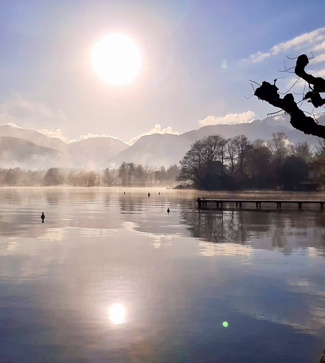 Sources lac Annecy tweet media