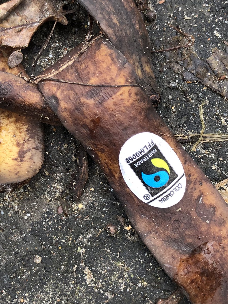 Spotted this on the street earlier and thought it perfectly highlighted the plastic and litter issues we face. This label will be polluting the environment long after the banana skin disappears. #pointlessplastic #litter #myplasticpromise