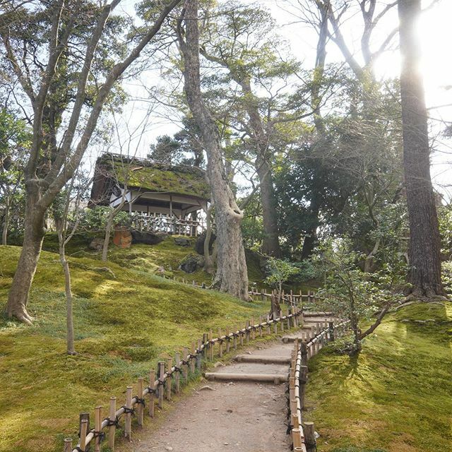 兼六園

#garden#金沢旅行#kanazawa#日本#和#japan#japantravel#カメラ好きな人と繋がりたい#写真撮ってる人と繋がりたい#風景写真を撮るのが好きな人と繋がりたい