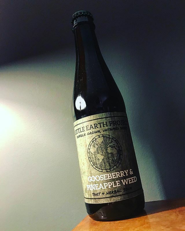 kendall_beer's tweet photo. Little Earth Project “Radius Project 2019: Gooseberry and Pineapple Weed” (5%) LEP bringing their strong wild fermentation game. This is super tart super delicious. 9/10
#littleearthproject @littleearthproject #radiusproject19 #gooseberryandpineapplewee… https://t.co/lj2rAJOeeP https://t.co/g2MLLhDEOX