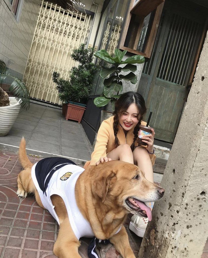 beurrexx's tweet photo. ชอบเซตฮยอนอามาเที่ยวไทยละถ่ายรูปกับหมาหน้าร้านขายชานมสุดละ น่ารักมากกกกกกกกกกกก พอเปนนางมาถ่ายละบรรยากาศดูไม่ร้อน แถมดูไม่ใช่เมืองไทยไปเลย 555555555555555555 https://t.co/0Kqm4p4q7I