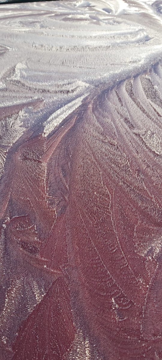 #cold one this morning #jackfrost has been very creative