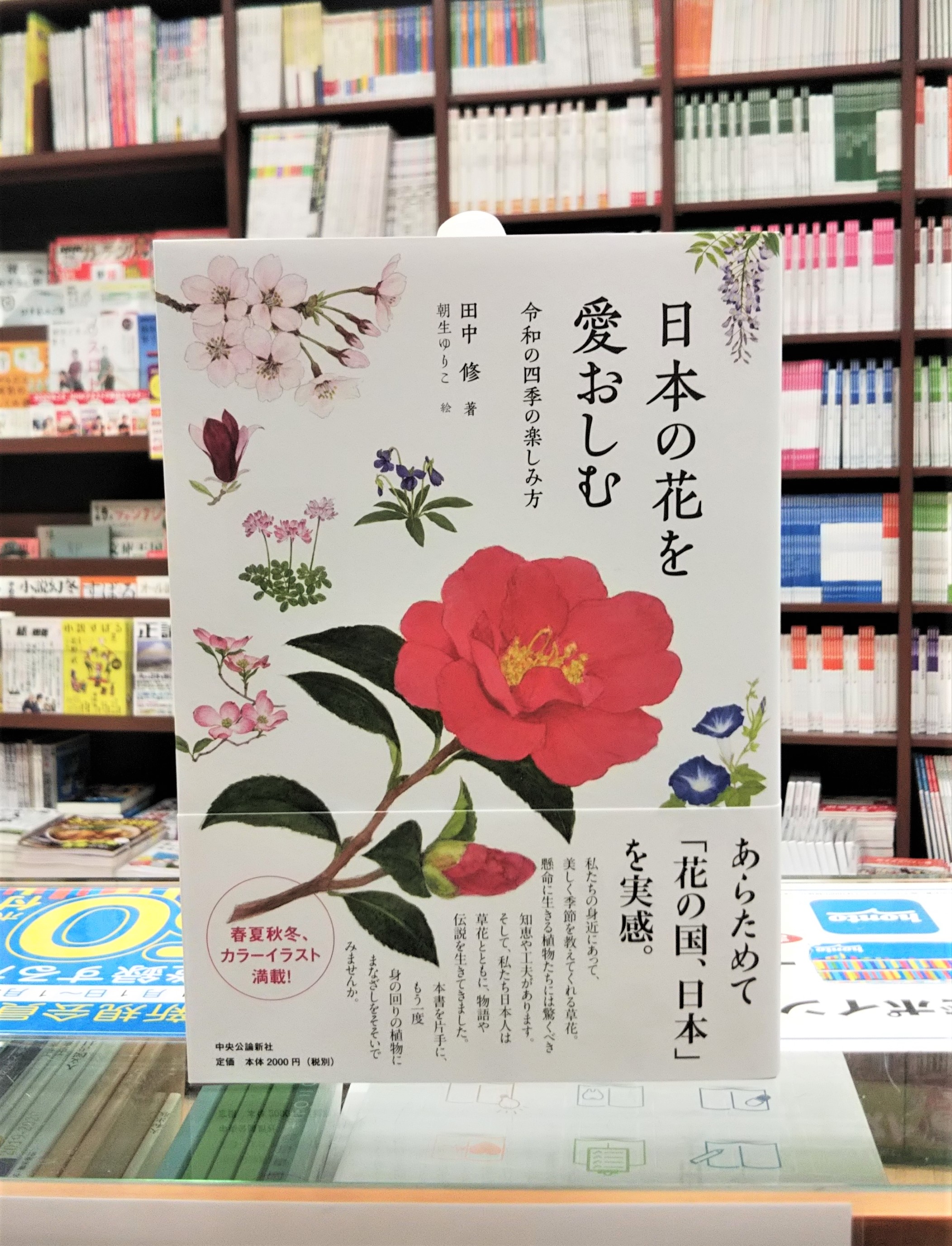 Twitter 上的 ジュンク堂書店 名古屋店 実用書 新春を祝う植物 松 南天 葉牡丹 春の訪れを告げる植物 水仙 蝋梅 沈丁花 私たちの身近にあり 美しく季節を教えてくれる草花 本書を片手 に身の回りの植物に目を向けてみませんか 春夏秋冬のカラーイラスト満載