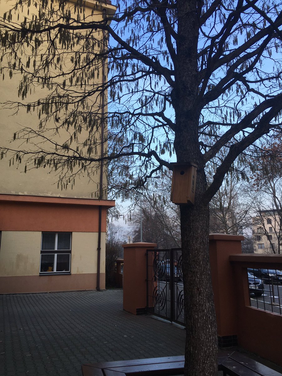 twiitky's tweet photo. Pylová sezóna začala. V polovině ledna. #olse #asi https://t.co/E4EdV48GuG