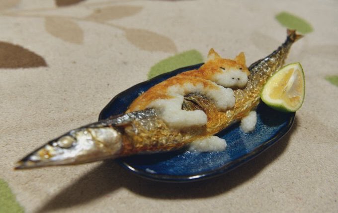 多有生活情趣啊。