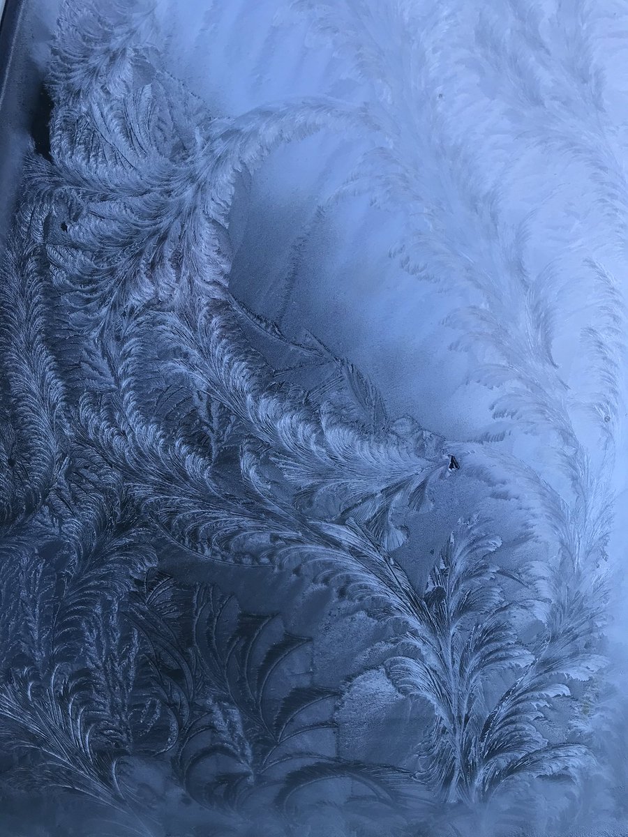 BethCorby1's tweet image. Winter had fun drawing on the window this morning! #frost #icepatterns