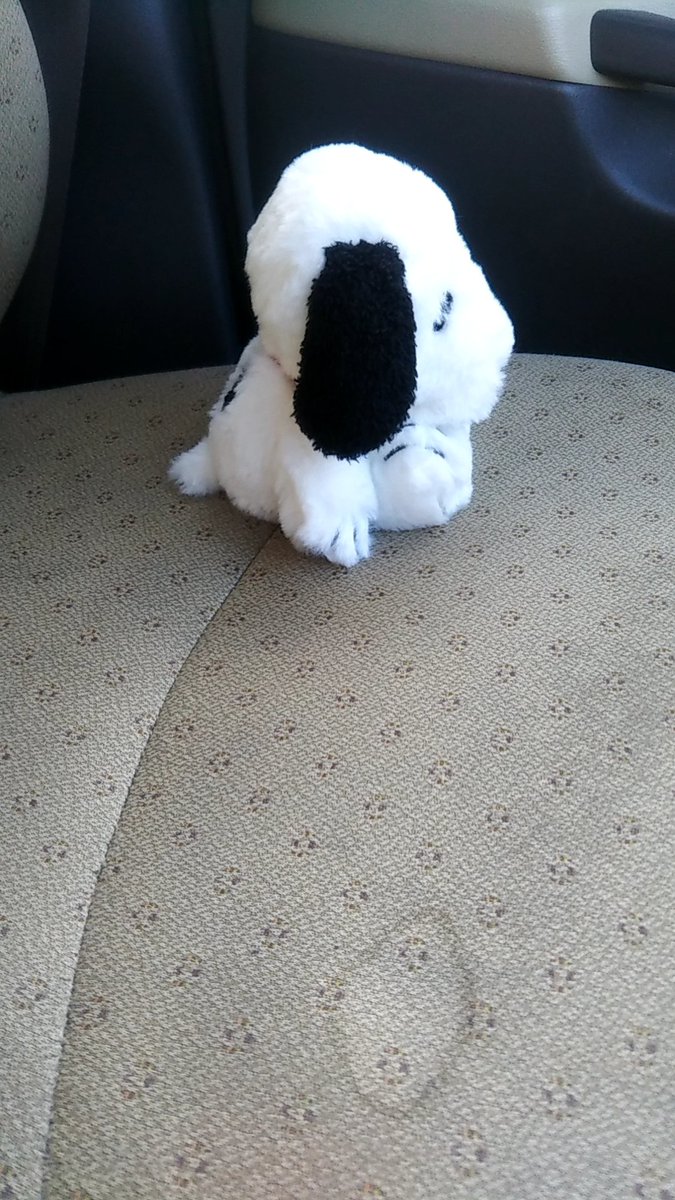 ケイティー Twitterissa 車の中何も無くて寂しいから三宮のスヌーピータウンでスヌーピーのぬいぐるみ買った ふわくたスヌーピーぬいぐるみ 手と足と体に小豆ビーズが入ってる 毛がフワフワで肌触りが良い めっちゃ可愛い ケイティー Twitterissa 車の中何も無くて寂しいから三宮のスヌーピータウンでスヌーピーのぬいぐるみ買った ふわくたスヌーピーぬいぐるみ 手と足と体に小豆ビーズが入ってる 毛がフワフワで肌触りが良い めっちゃ可愛い