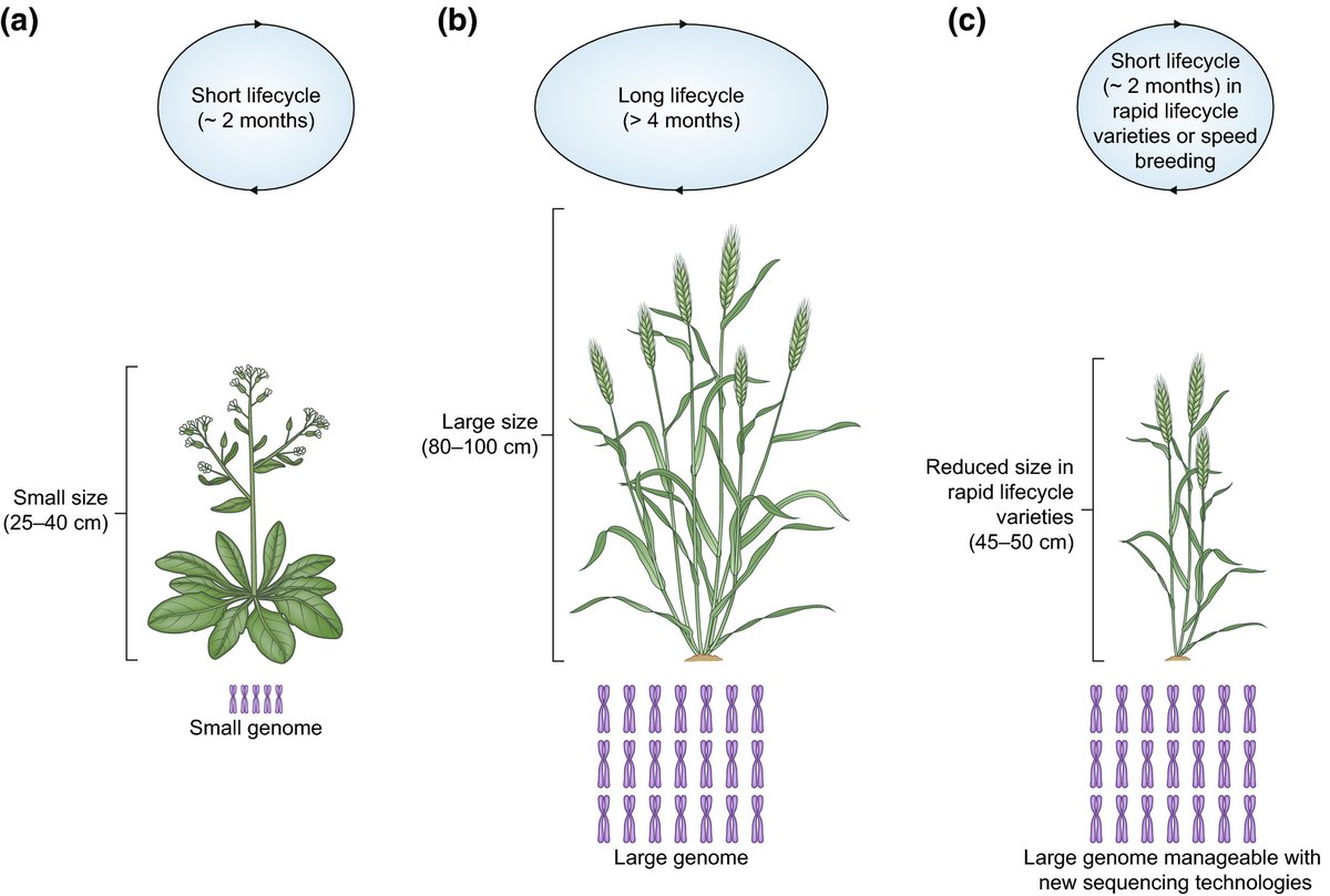 Recent developments bypass traditional model species requirements. 