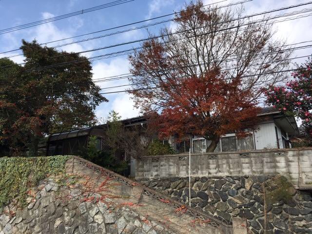 昭和エレガント