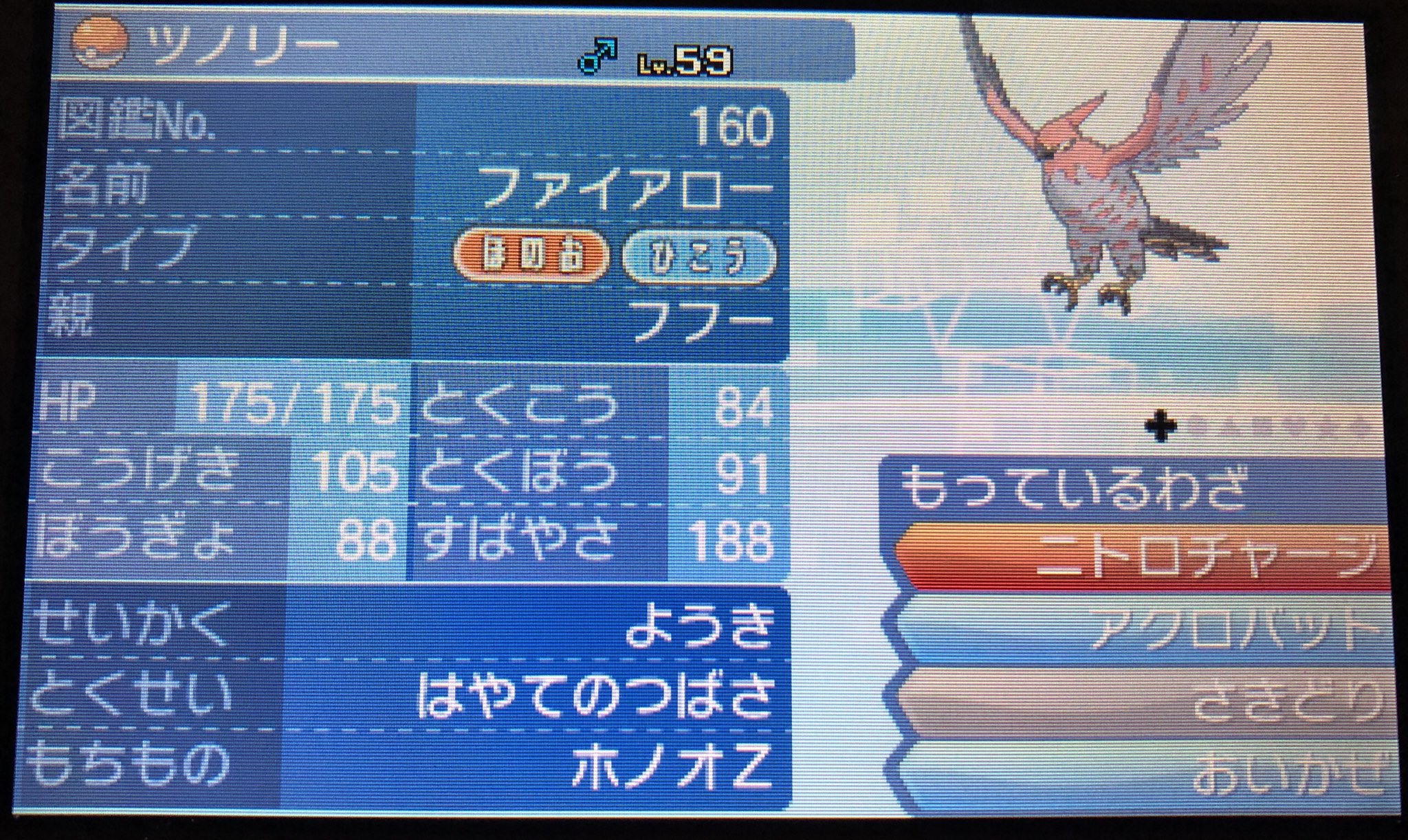 ヤヤコマ 夢特性 サンムーン