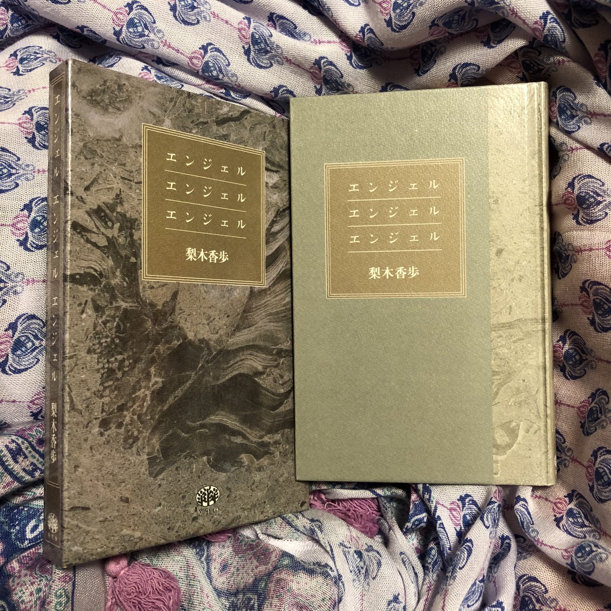 ネコや本で エンジェル エンジェル エンジェル 梨木香歩 著 めったに行かない古本屋 縁あって ふと目にとまり購入した箱入りの本 文字の色で2人を分けている 言葉遣いでこちらが孫 こちらが若かりし時代の祖母 なのだろうと読み進めていった ネコや本で エンジェル エンジェル エンジェル 梨木香歩 著 めったに行かない古本屋 縁あって ふと目にとまり購入した箱入りの本 文字の色で2人を分けている 言葉遣いでこちらが孫 こちらが若かりし時代の祖母 なのだろうと読み進めていった
