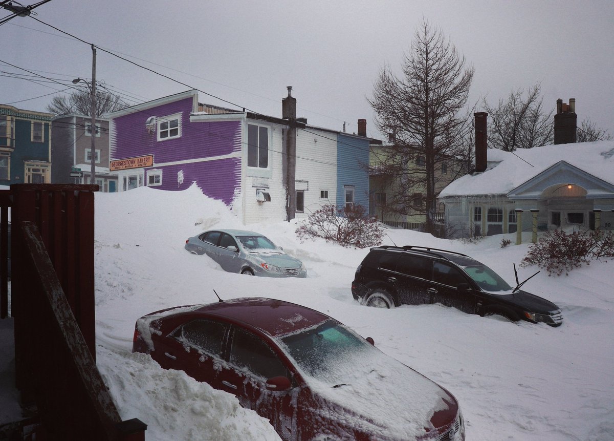 TWChapman1's tweet photo. Does fitbit have a snowshovelling setting? Some sort of combination of marathon running and weightlifting? #nlblizzard2020 https://t.co/sSNmgzE8S7
