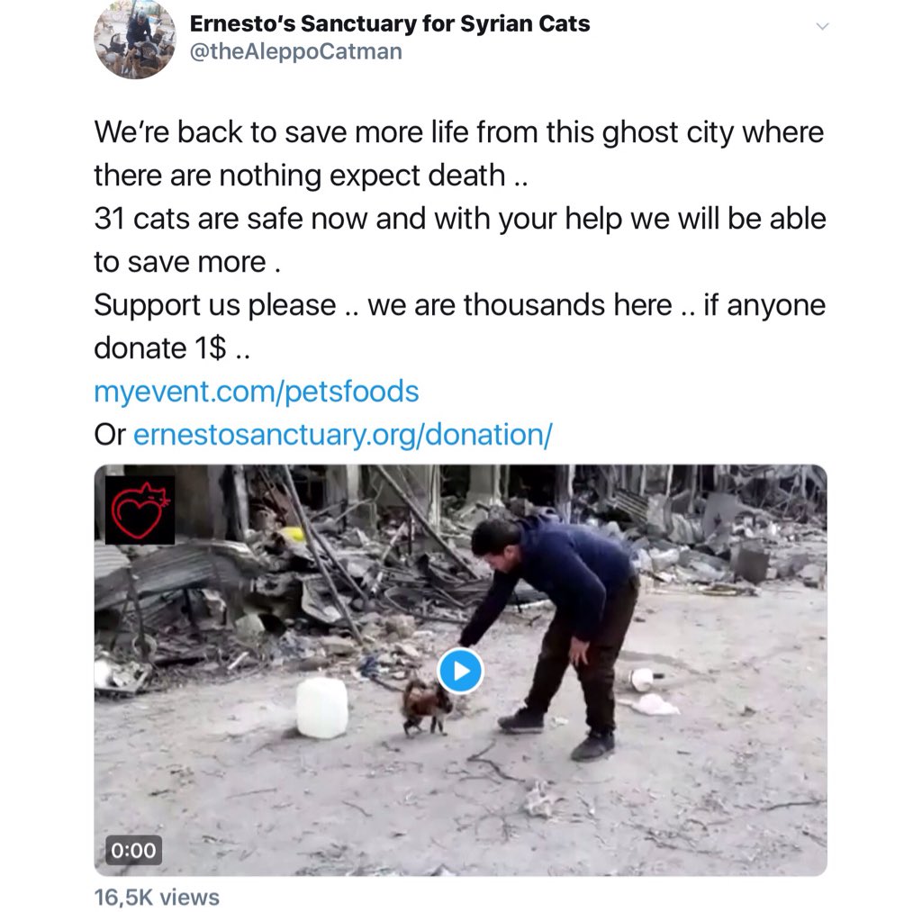 JustAnimals_'s tweet photo. 🆘🆘🆘 PLEASE HELP‼️🆘🆘🆘
Sad news from @theAleppoCatman & the animals in #Aleppo, currently in great danger due to the #war. #PrayForAleppo #Syria
💔💔💔
🆘 Please follow & support this #AnimalHero.
To donate: 👉🏻https://t.co/96VWGF44cS OR
👉🏻https://t.co/xXOYOrAE2P
RT PLEASE https://t.co/lGMNsllLlc