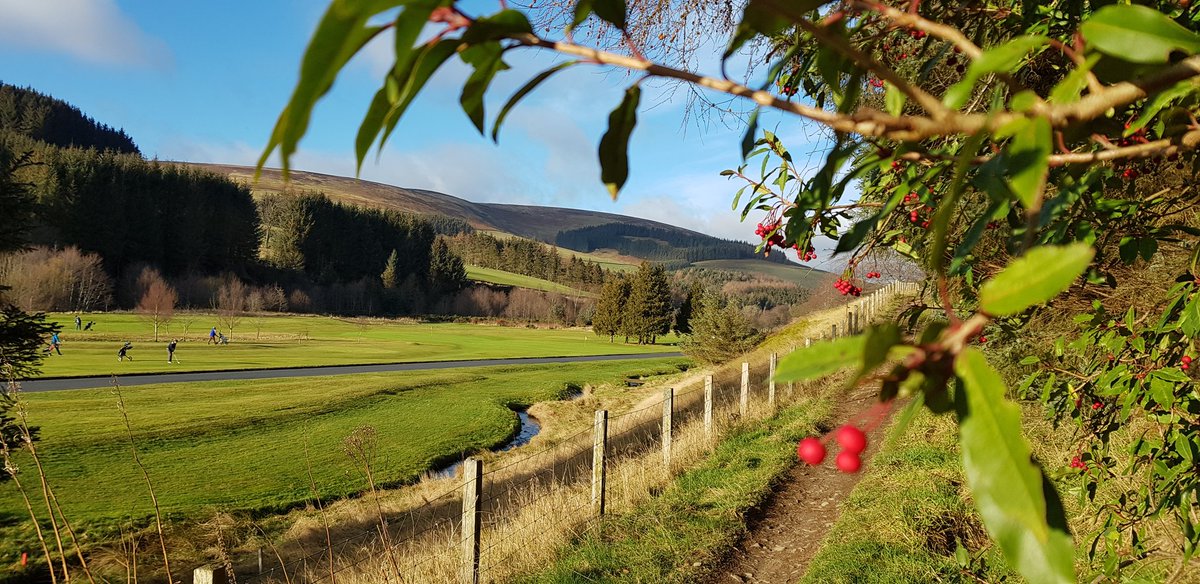 CosaigInners's tweet photo. Come on #dogsoftwitter get your hoos to bring you to the #TweedValley. The sniffs are amazing and the broom is just luverly @TweedValleyUK https://t.co/rsrg2BXq22
