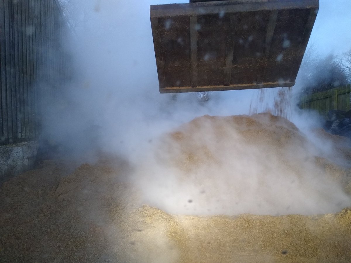 vaderbogger's tweet photo. 28 tonne of finest #Glenmorangie draff #distillersgrains topping up the pit. It should hopefully get us through the season. We feed it to the cows along with barley straw and use it to top up protein in growing cattle. #WinterFodder It's still hot when it comes out of the waggon. https://t.co/p7ckBXlhBM