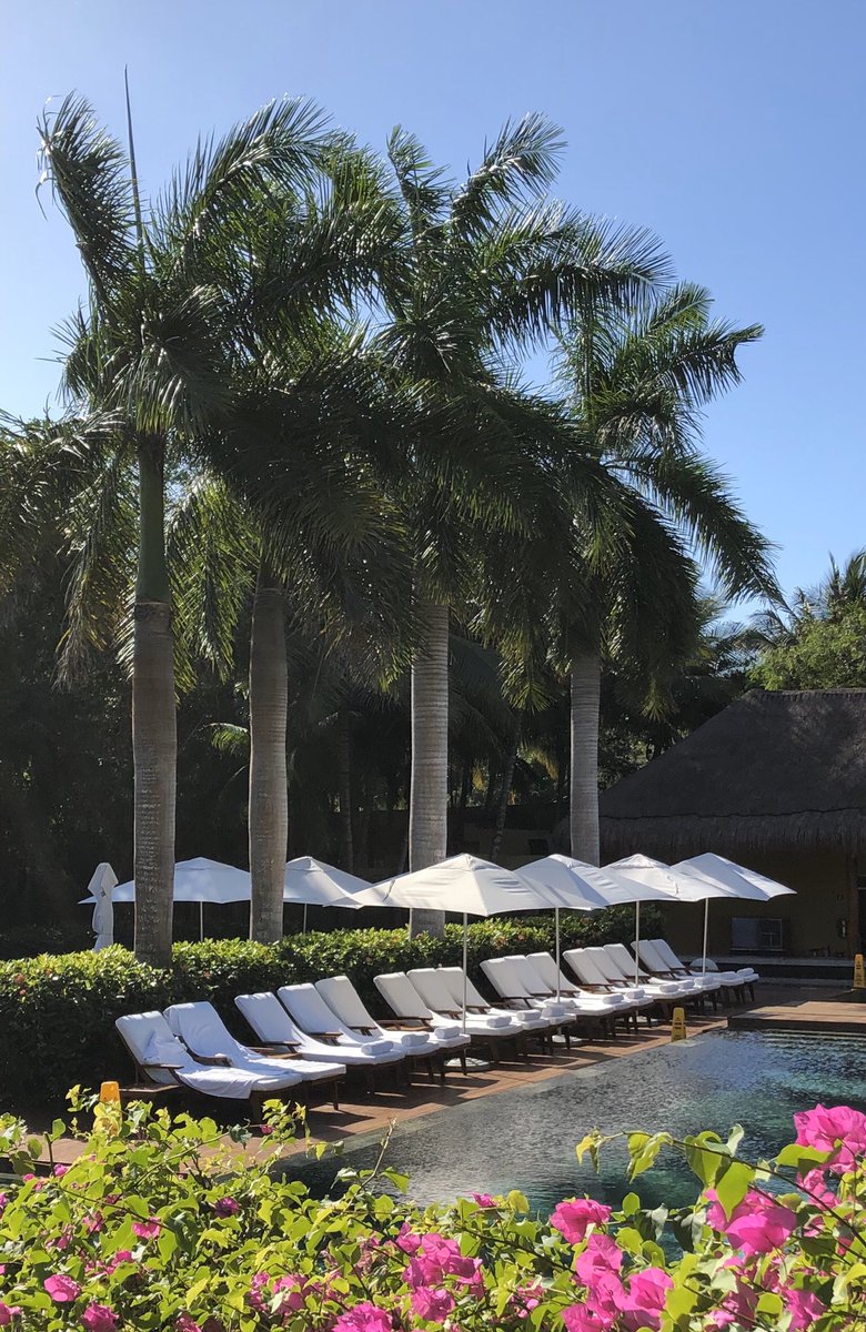 CIREtravel's tweet photo. Love having the Zen Pool all to ourselves this morning.  At least for now...

#SunshineSaturday #ZenPool #myvelasexperience #grandvelasmaya #LuxuryTravel #WinterVacation #WinterEscape #TheBestPartners #TzellTravel #TravelMatters #ionlytravelwithCIRE https://t.co/4nHdYNOCtc
