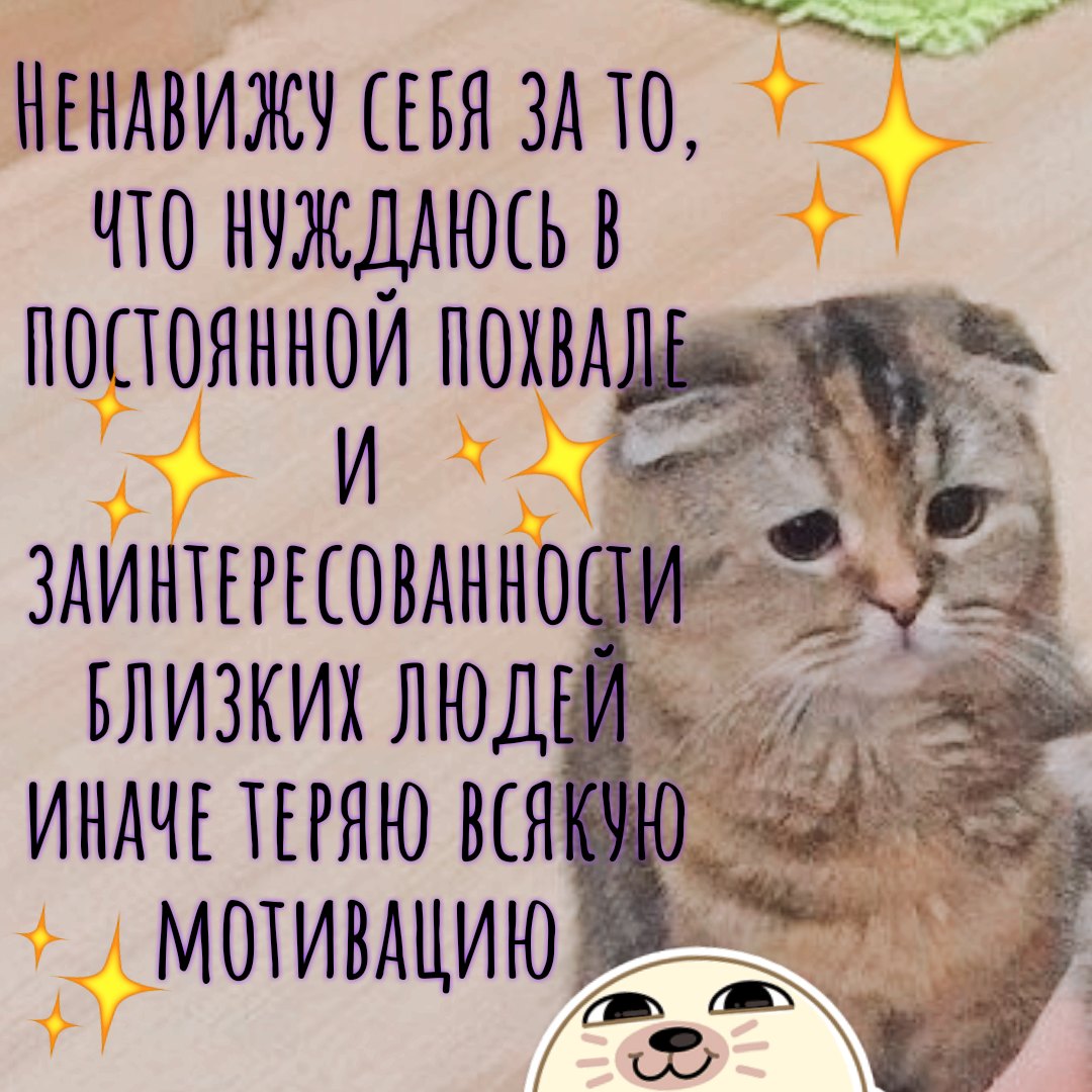 drug_for_cat's tweet photo. https://t.co/SFG18MFQhP