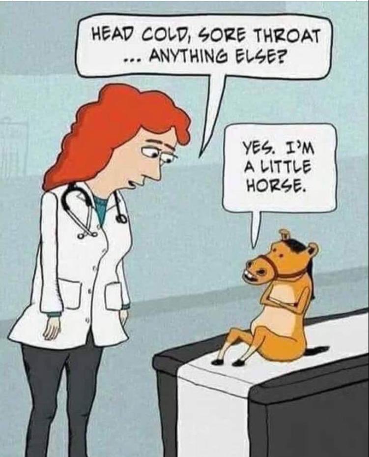 Donna Greir 💙 (@greir_donna) on Twitter photo 