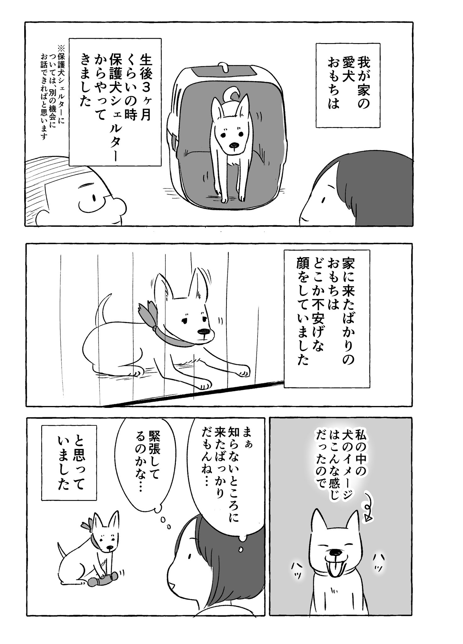 日夏たね 通販始めました A Twitteren 不定期更新 漫画家夫婦が保護犬をお迎えした話 今回はおもちの表情について書いてみました おもち おもち漫画 雑種犬
