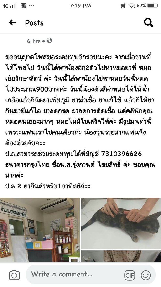 Meow__st's tweet photo. ขออนุญาตเปิดระดมทุนอีกรอบนะคะ แมวเราติดหัดจากข้างบ้านตายไป6ตัวจาก8ตัว 2ตัวที่เหลือก็เป็นต้องรักษาอีก ยังขาดเงินอีกประมาณ2000บาทที่จะต้องรักษาน้อง ตอนนี้เรากับแฟนหมดหนทางจริงๆค่ะ เราหมดกันไปเยอะมากๆเกือบๆจะ9000แล้วขออนุญาตคนใจบุญช่วยระดมทุนให้พวกเราทีนะคะ #ทวิตดีคนรีน้อย #บอลไทย https://t.co/c5D0GHd2r9