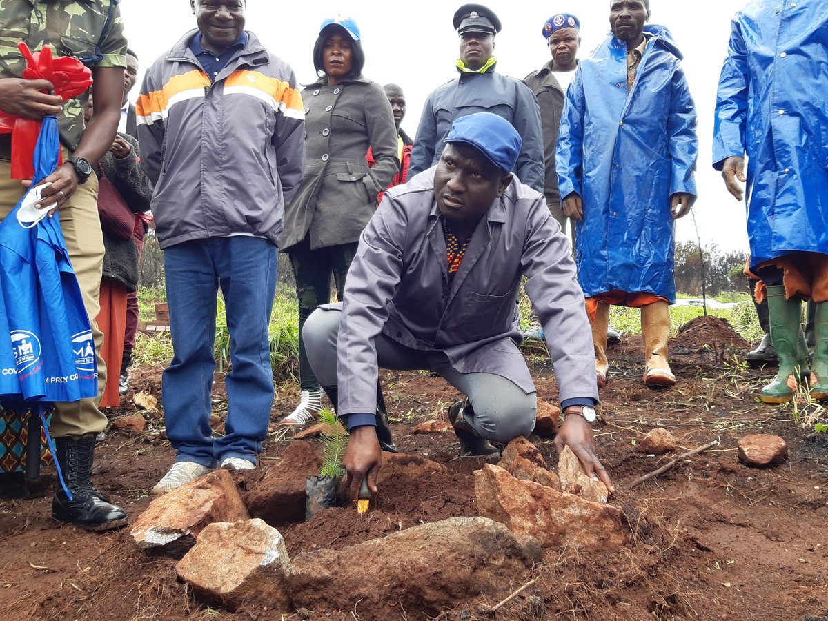 Malawi Government V Twitter 4 Cabinet Ministers Plant Trees At