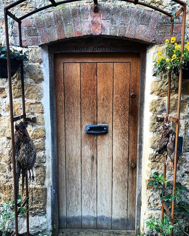 Somersalt tweet media