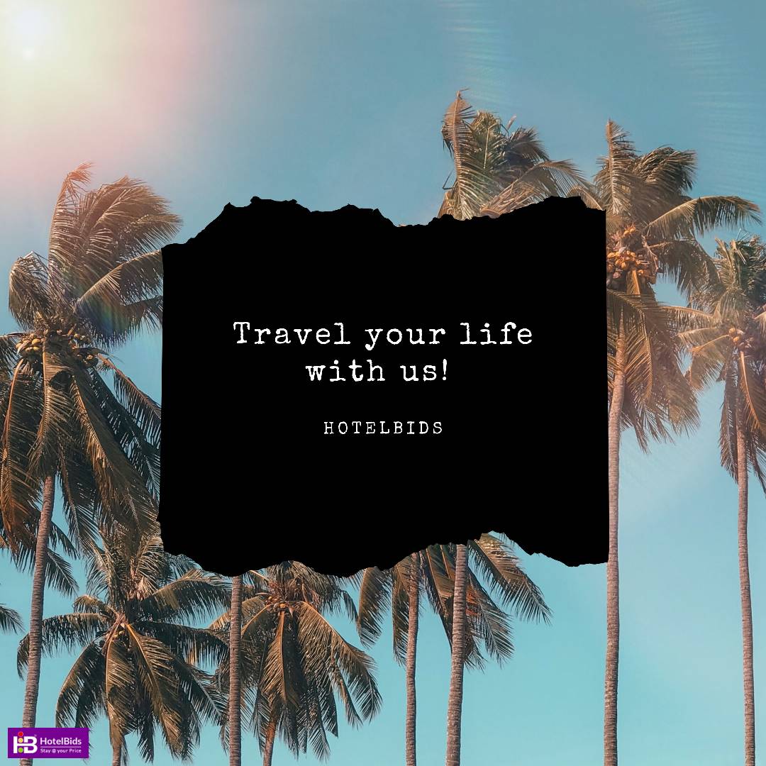 HotelBidsInc's tweet photo. Live with no excuses and travel with no regrets! 

#adventure #book #connect #cheapbugdeting #enjoy  #family #hotelbids #trip https://t.co/BArAmK7uzw