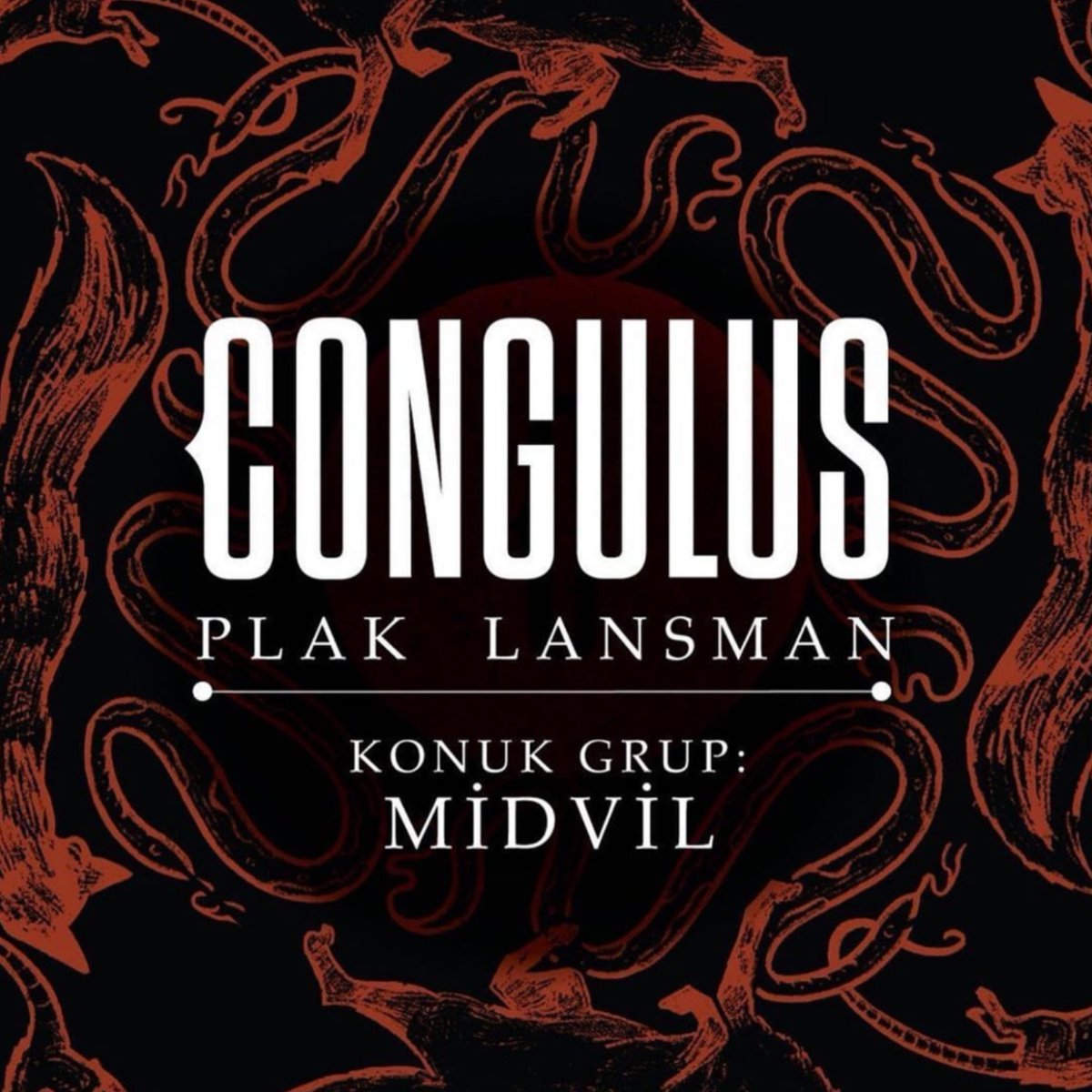 #Bozkir vinyl launch concert at 24th  January <a href="/kargabar/">Karga</a>  with <a href="/congulusband/">congulus</a> and <a href="/midvilband/">Midvil</a>!
. . .
 #Bozkir plak lansman konseri <a href="/congulusband/">congulus</a> ve <a href="/midvilband/">Midvil</a> ile 24 Ocak'ta <a href="/kargabar/">Karga</a> sahnesinde!

#turkishpsychedelic #band #concert #newrelease
#kadikoy #karga