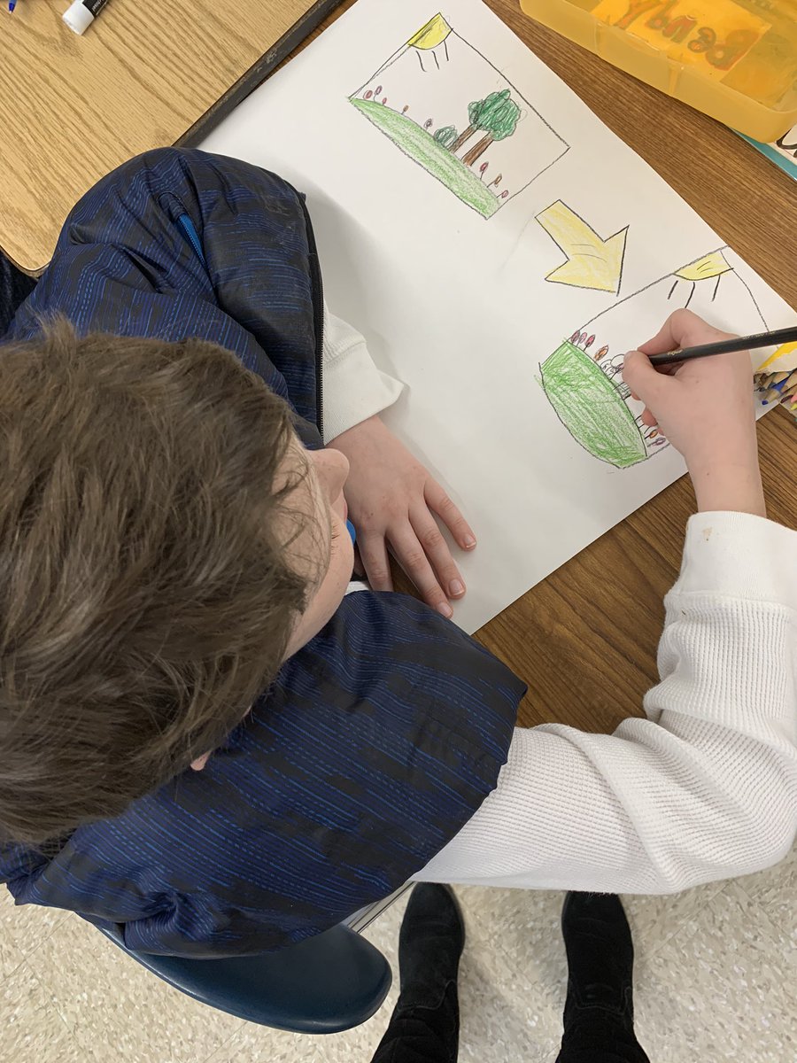 How would you choose to show the transfer of energy between plants, rabbits, and wolves? <a href="/BayviewESchool/">Bayview Elementary</a> <a href="/MTPSpride/">Middletown Township Public Schools</a>