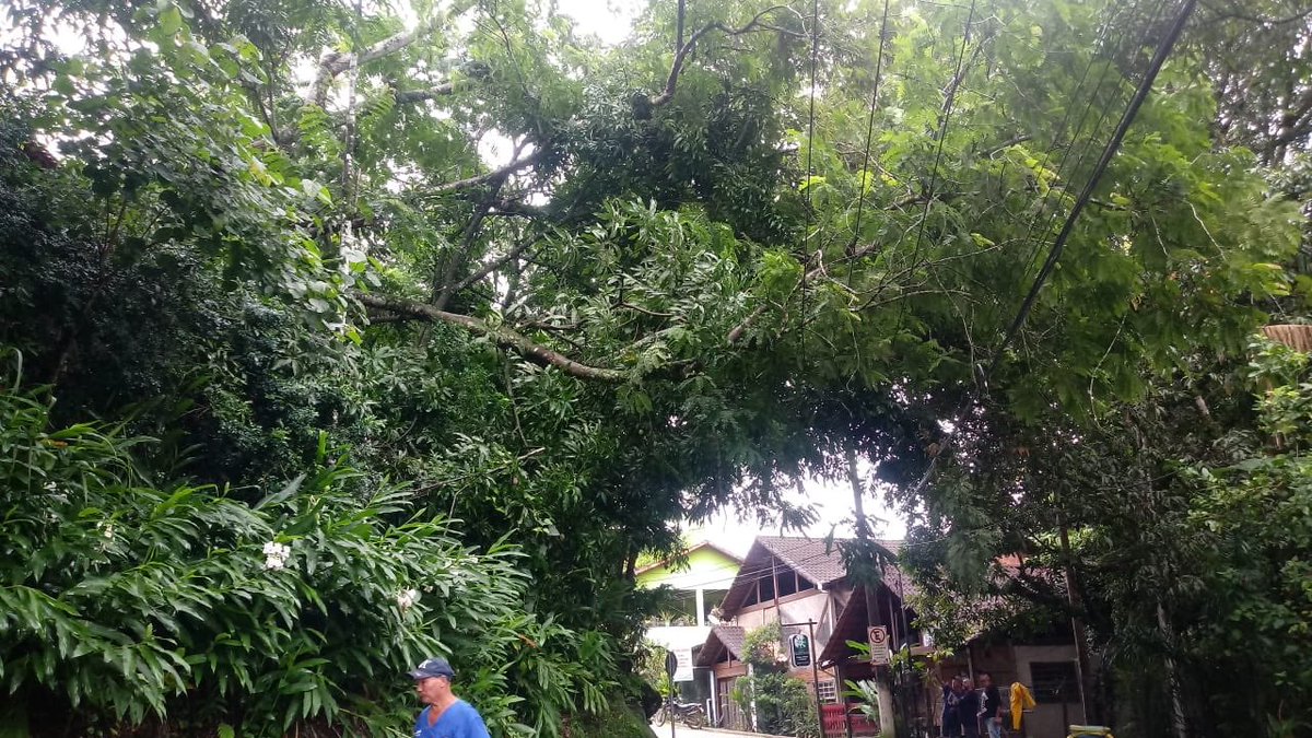 limpatech's tweet image. Hoje foi informado que caiu uma árvore no Sana. 
Prontamente nossa equipe foi ao local, já foi desobstruída a passagem e agora estamos no aguardo da Enel, pois ainda possuem galhos que estão em contato com a fiação elétrica e precisamos da liberação
@draluiziojunior @jacy_cherene