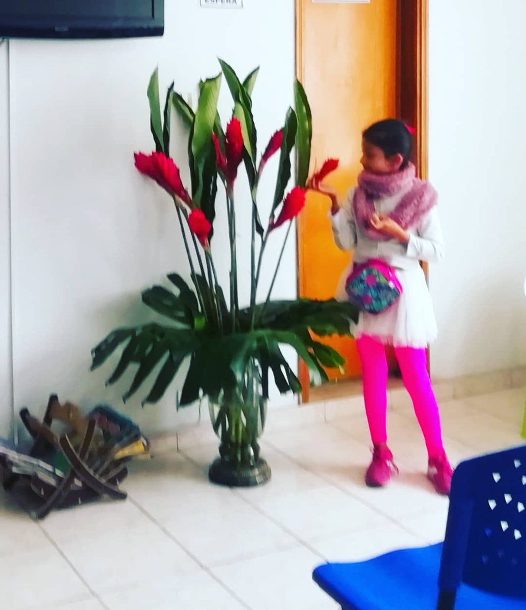 FloresVirtual's tweet photo. En el 2020 decoramos tu clinica al mejor estilo de Flores de Bogotá.
Info y pedidos 📱3164090037 🌷🌱
Inbox 📄🍃
Domicilio incluido 🛵
#decoraconflores #alegraconflores #armonizaconflores #Floresartesanales #floristería #negocio #consultorio #decoratuclinica #decoración #domicio https://t.co/7RHY8YSRs9
