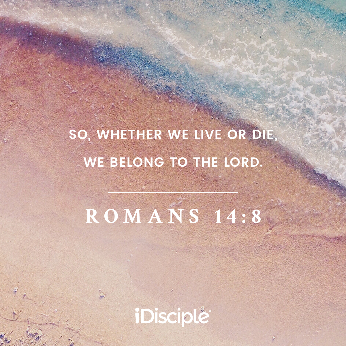 If we live, we live for the Lord; and if we die, we die for the Lord. So, whether we live or die, we belong to the Lord.  Romans 14:8 (NIV)