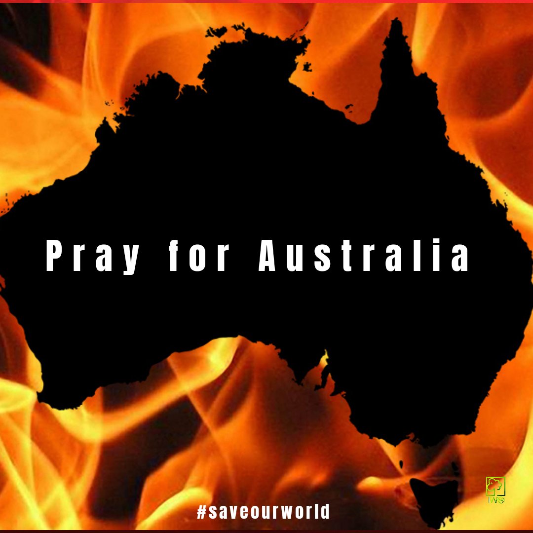 IWO Innovative World tweet media