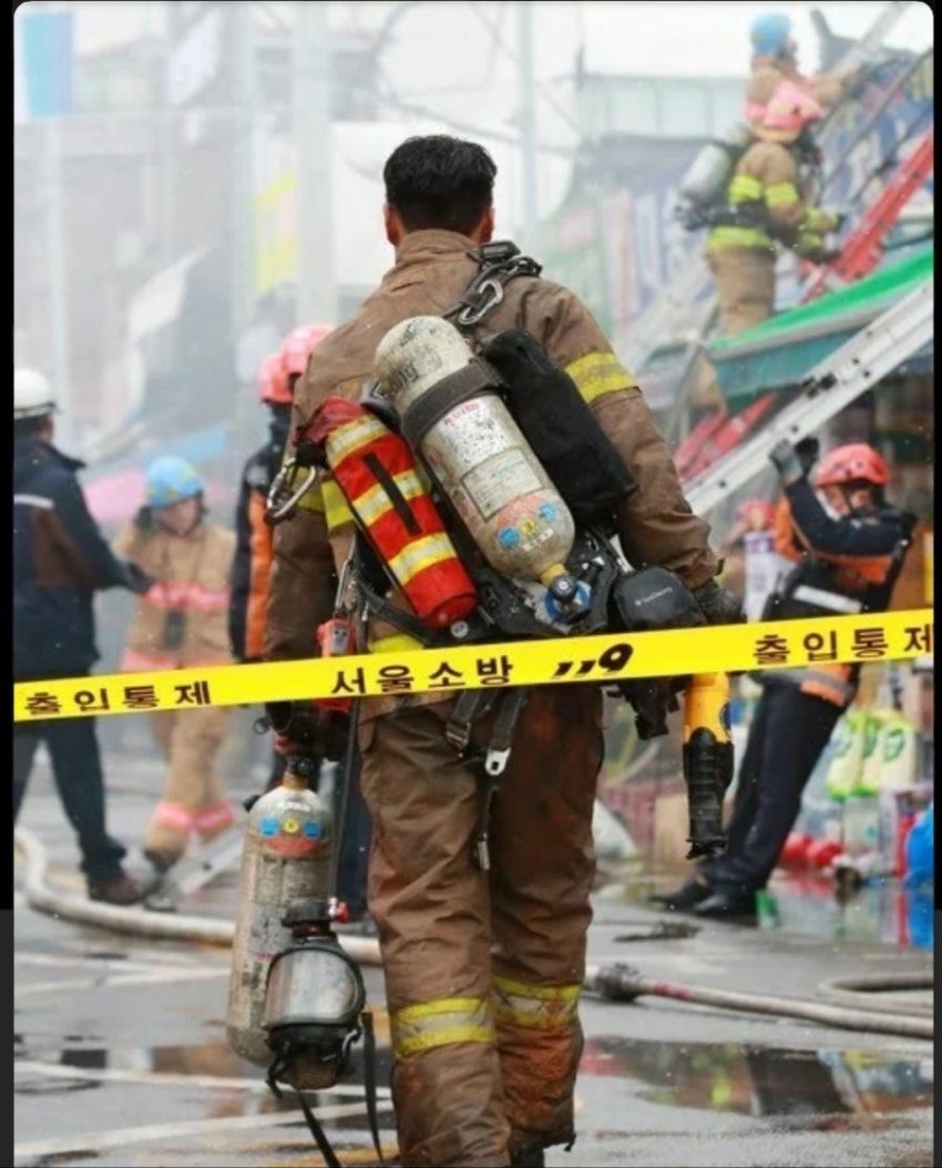 호불호 없는 뒷태.