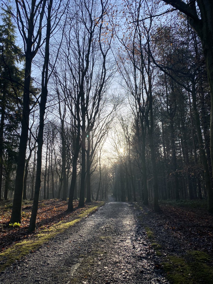 RunnorthwestRun's tweet photo. We are so excited for tomorrow’s @AlderleyPark winter trail run. It’s going to be a gloriously sunny &amp; cold morning so wrap up warm if you are one of the lucky participants in this four hour sell out trail run!! It’s such a stunning venue and a place like no other ❤️ https://t.co/y1dloH9jIX