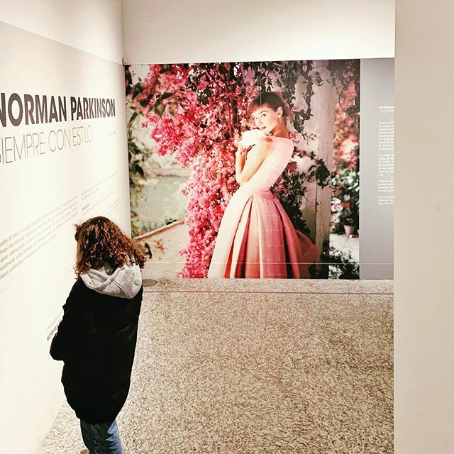 juliacgr's tweet photo. Visitando a #normanparkinson 💕
📷 Nuestra favorita 𝑊𝑒𝑛𝑑𝑎 𝑦 𝑙𝑎𝑠 𝑎𝑣𝑒𝑠𝑡𝑟𝑢𝑐𝑒𝑠

_ “𝑴𝒂𝒎𝒂́, 𝒑𝒆𝒓𝒐 𝒔𝒆 𝒑𝒖𝒆𝒅𝒆 𝒎𝒐𝒏𝒕𝒂𝒓 𝒆𝒏 𝒂𝒗𝒆𝒔𝒕𝒓𝒖𝒛?” https://t.co/Y0hy3GC3N4 https://t.co/dF2DbM97Kt