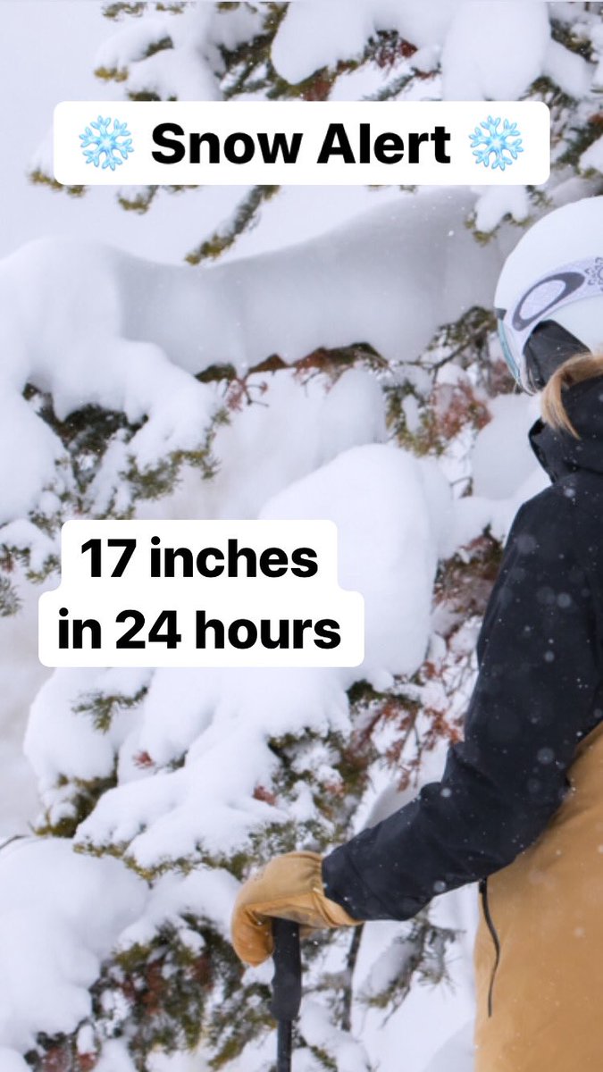 PCski's tweet photo. ❄️ Snow Alert ❄️ We received 17 inches of snow in the past 24 hours! https://t.co/5xQytokM0Z