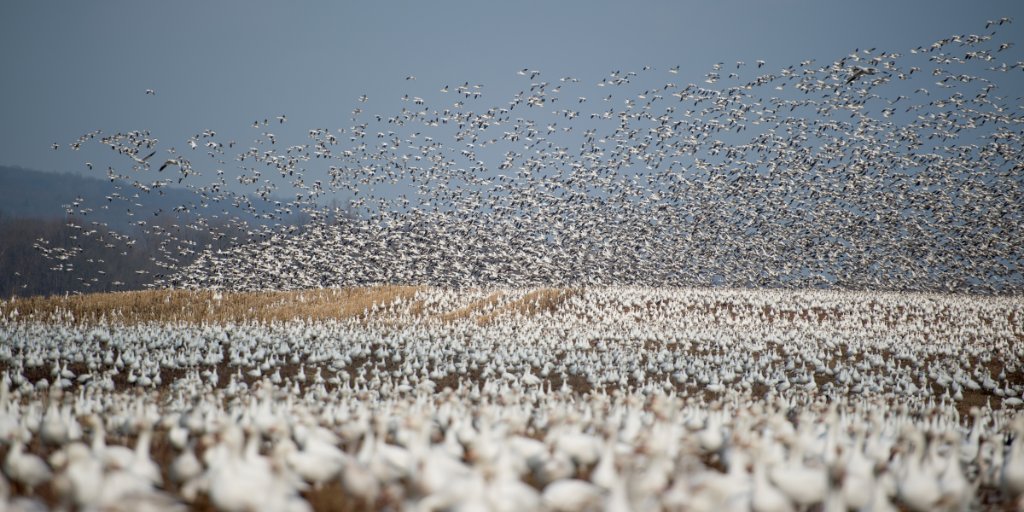 How to migrate delimited files from Amazon S3 to a DynamoDB table by using AWS Database Migration Service &amp; AWS CloudFormation: go.aws/36BbW2c