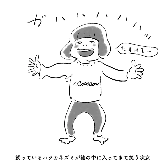 今日のたすけて〜 