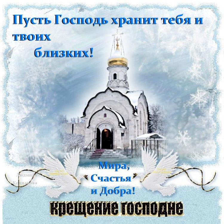 Helena Botova tweet media