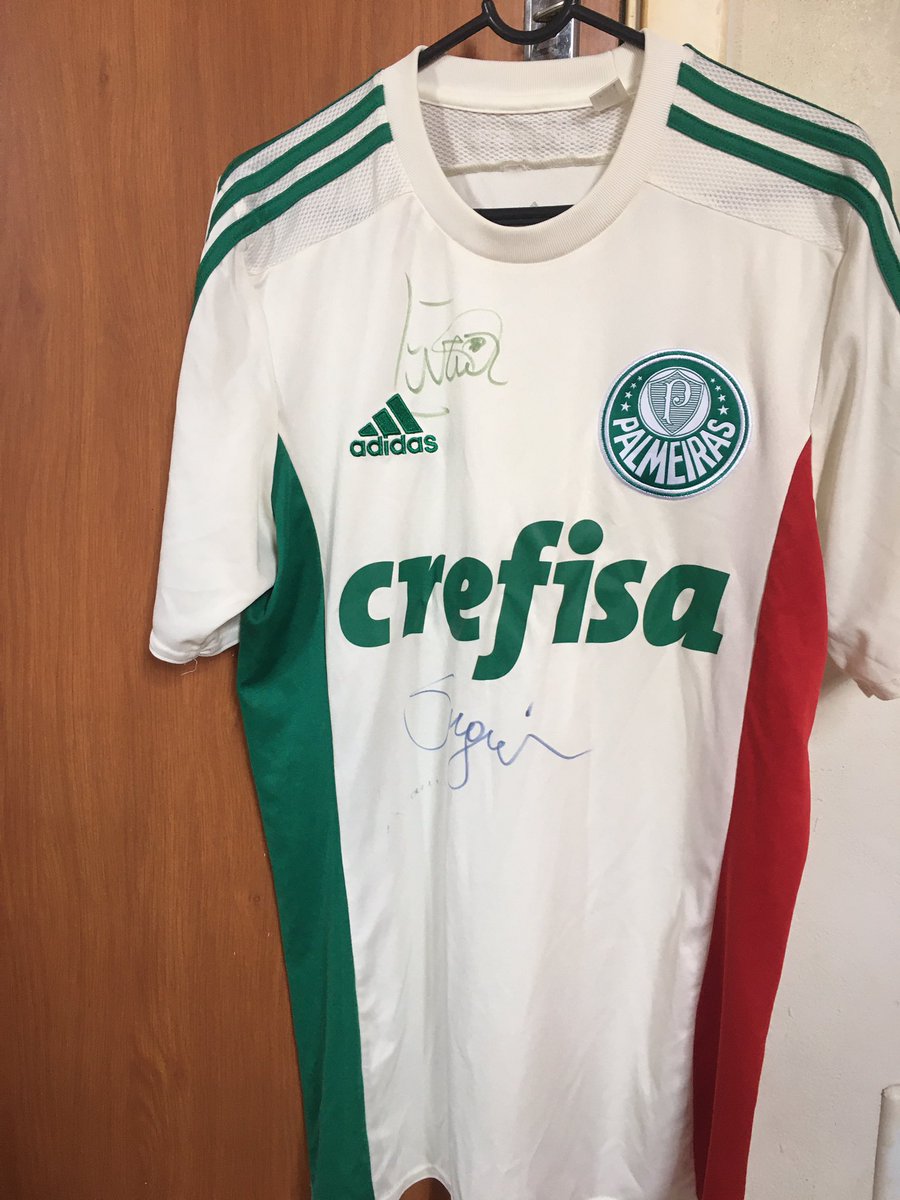 camisa palmeiras 105 anos