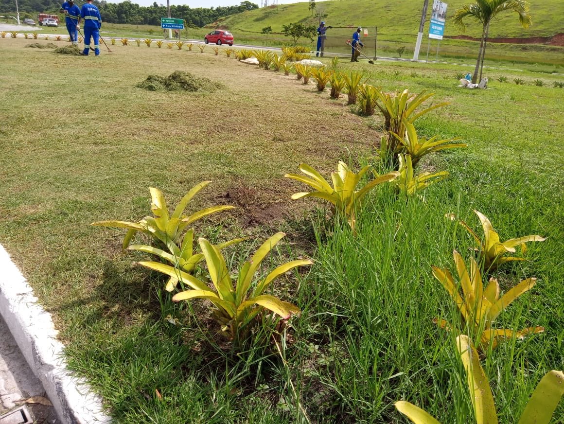 limpatech's tweet image. Revitalização nos canteiros da Cidade.

Nossa cidade é linda e a revitalização dos canteiros, jardins, e todo cuidado da nossa equipe especializada faz toda diferença para dar vida a cidade! 

#PorumaMacaemelhor @draluiziojunior