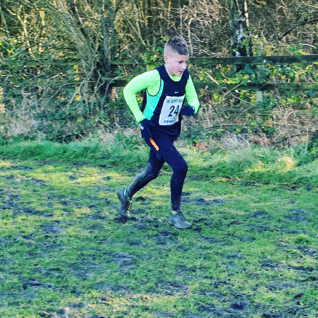 Allison preece tweet media