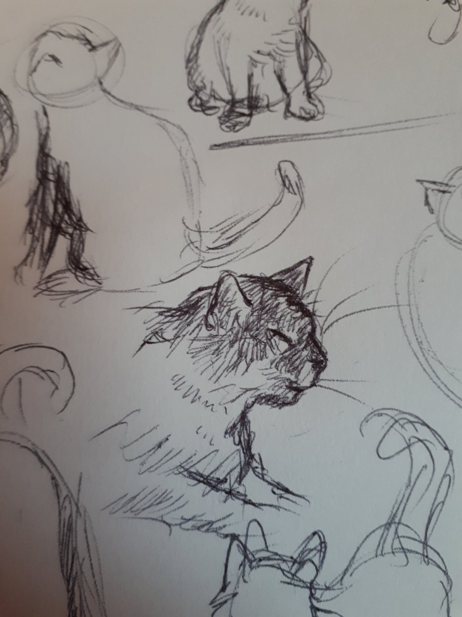Meowwww 