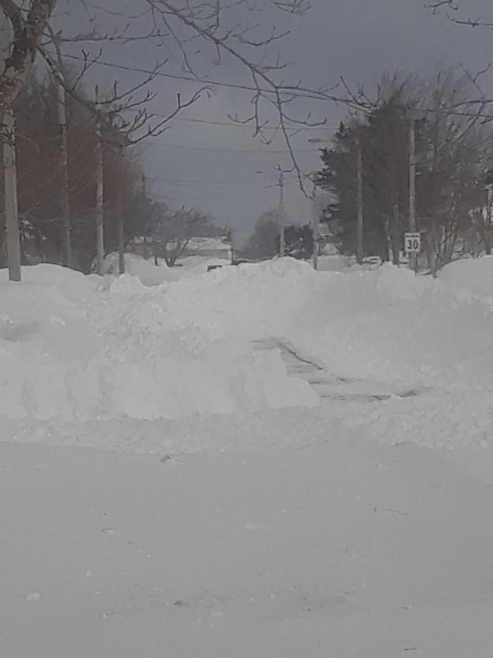 Steve Kent tweet media