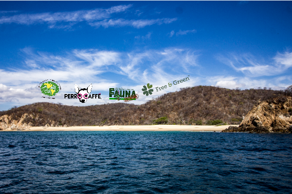 ipebiosfera's tweet photo. Camina por México con la bandera ambiental y encontraras las tierras vírgenes mas bellas del planeta. ¡ojo no se vale decir donde están! Queremos que se queden así. #travel #trip #journal #mexico https://t.co/ySd6TMrX7k