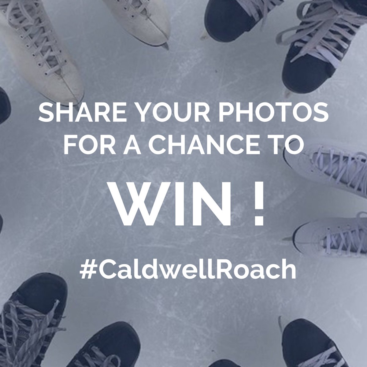 CaldwellRoach's tweet photo. Share your photos from the Caldwell Roach/Kings Mutual Insurance Ice Surface in Downtown Truro and you could win! Like or follow us on social, then share your photos using #CaldwellRoach. Winners each week! #Civicsquaretruro #Truro #kingsmutual https://t.co/CEufpod6FV